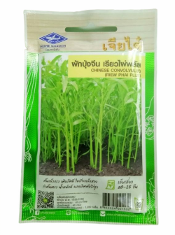 ผักบุ้งจีนเรียวไผ่พลัสF1เจียไต๋*100